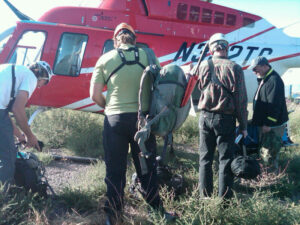 IMG00171-20110903-1749